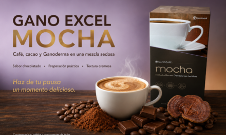 Gano Excel Mocha: café cacao y Ganoderma en perfecta armonía