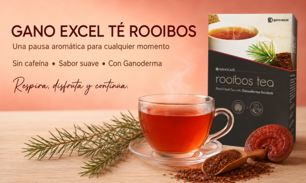 Gano Excel Té Rooibos: sabor suave para disfrutar sin cafeína